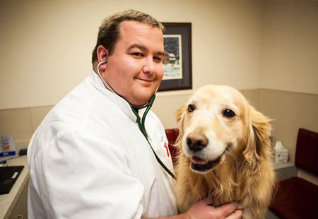 A veterinarian in white scrubs smiles as he stands next to and holds a large, gold dog in a room at Rose Rock Veterinary Hospital & Pet Resort in Norman, OK.