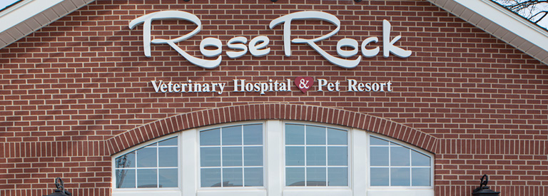 The Rose Rock Veterinary Hospital & Pet Resort brick building with signage over large windows in Norman, OK.