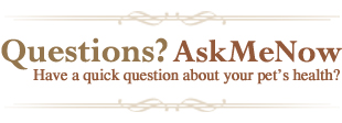 Questions?