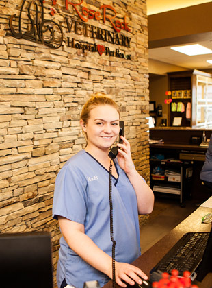 A front desk agent wearing blue scrubs and talking over the phone uses her computer at Rose Rock Veterinary Hospital & Pet Resort in Norman, OK.