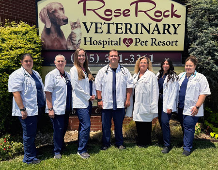 The five veterinarians of Rose Rock Veterinary Hospital & Pet Resort wearing white scrubs over their clothes in Norman, OK.